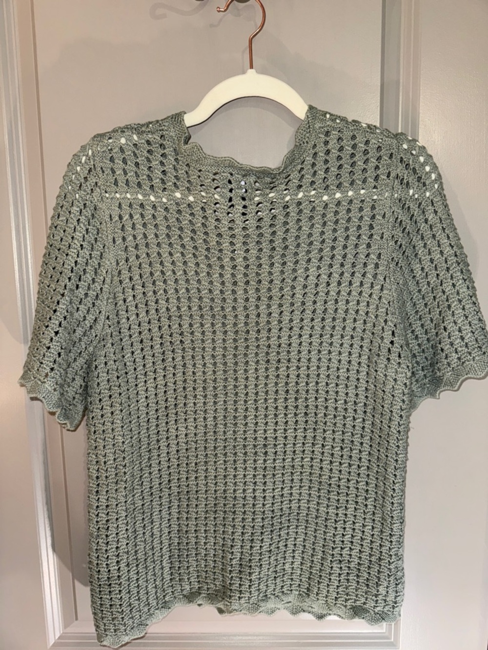 GAP Light Sage Open-Knit Crochet Short Sleeve Top - Picture 4 of 4